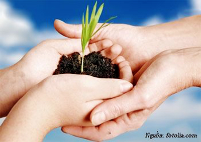 Vietnam analiza el borrador de ley para la preservación ambiental